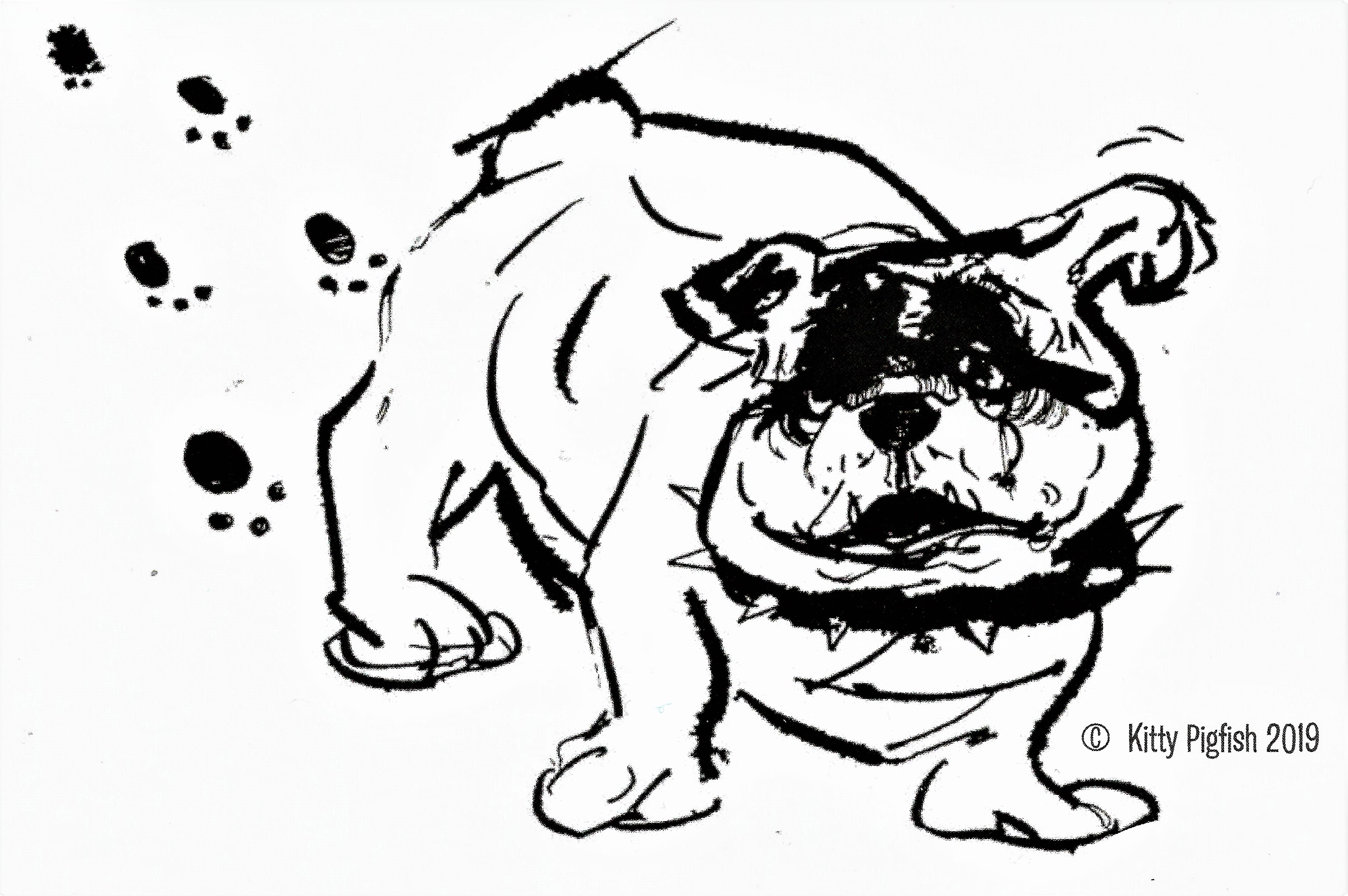 Muddy Paws The Bulldog - Cartoon by Kitty Pigfish - Pigfish